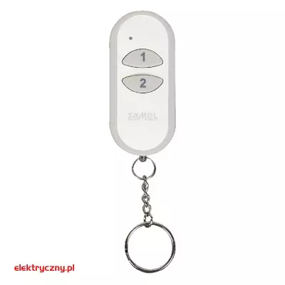 elektryczny.pl_pilot_dwuklawiszowy_P257-2.jpg