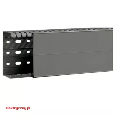 elektryczny.pl_kanal_grzebieniowy_BA7A60100_60x100_Hager.jpg