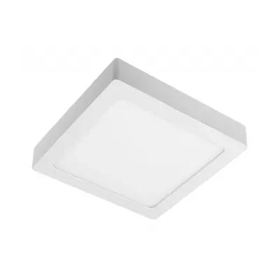 LAMPA.jpg