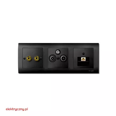 elektryczny.pl_plytka_centralna_czarna-MTN298314_Schneider.jpg