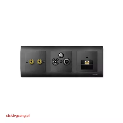 elektryczny.pl_plytka_merten-centralna_antracyt_MTN297514_Schneider.jpg