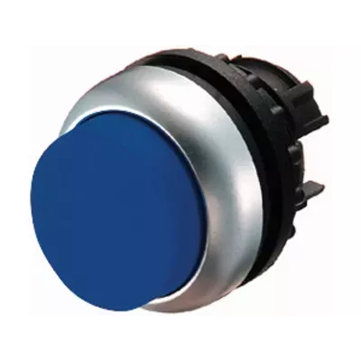 216973.jpg