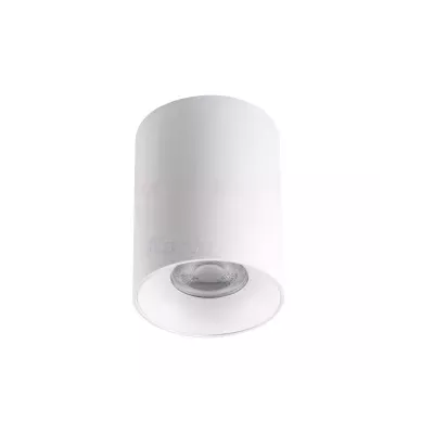 27569.jpg