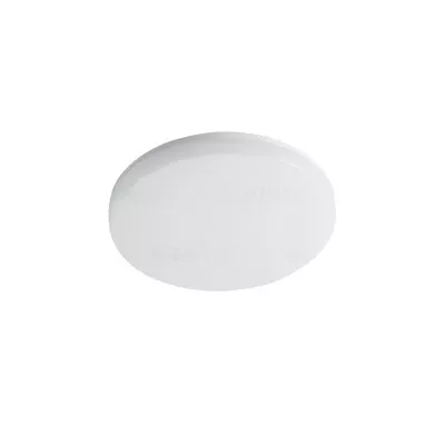 26441.jpg