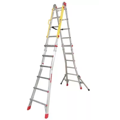 faraone.PNG