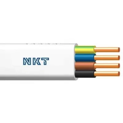 nkt..PNG