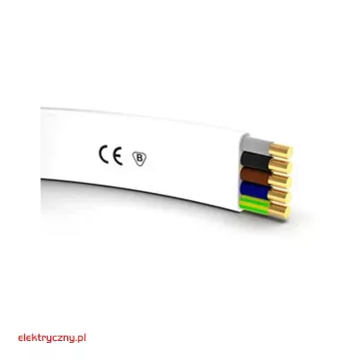 elektryczny.pl_YTDY-P_5x2,5_750V.jpg