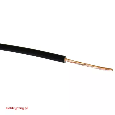 elektryczny.pl_LGY_500V_czarny_3.jpg