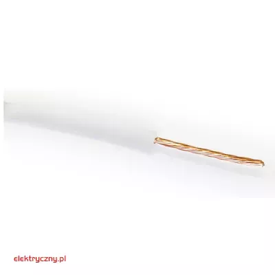 elektryczny.pl_LGY_500V_biały.jpg