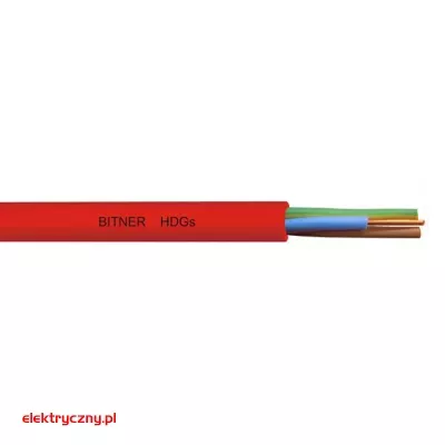 elektryczny.pl-HDGS_3X.jpg