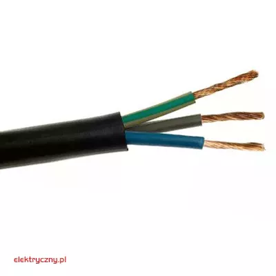 elektryczny.pl_OnPD_3x_czarny.jpg