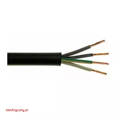 elektryczny.pl_OW_4x_czarny.jpg