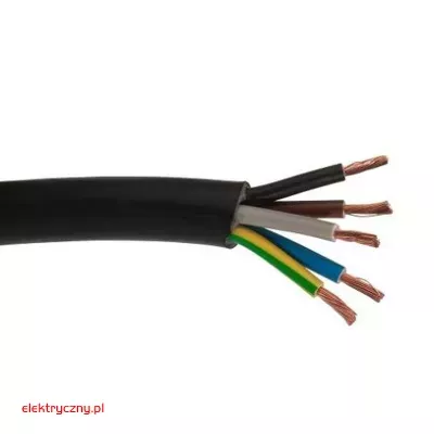 elektryczny.pl_OW_5x_czarny.jpg
