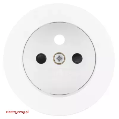 elektryczny.pl-PŁYTKA_GNIAZDO_ZU_BIAŁE.jpg