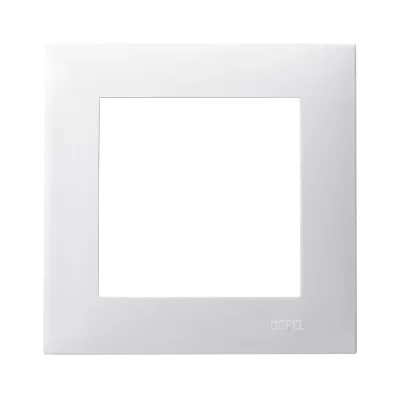 R-1Z_00.png