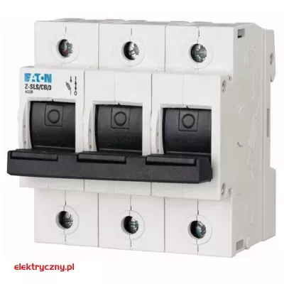 elektryczny.pl_248249_eaton.jpg