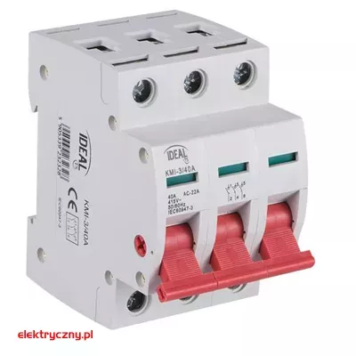elektryczny.pl_rozlacznik_izolacyjny_100A_23235_Kanlux.jpg