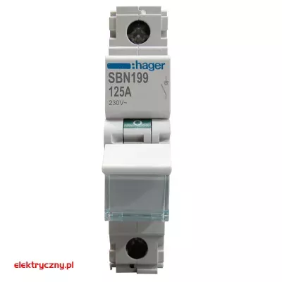 elektryczny.pl_rozlacznik_izolacyjny_SBN_199_125A_1P_HAGER.jpg