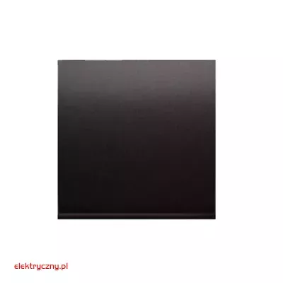 elektryczny.pl_klawisz_pojedynczy_DKW1-48-Premium54_KontaktSimon.jpg