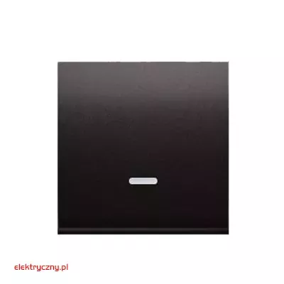 elektryczny.pl_klawisz_pojedynczy_DKW1L-48-Premium54_KontaktSimon.jpg