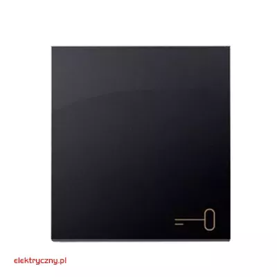 elektryczny.pl_DKWK1-48-klucz_przycisk_Premium54_KontaktSimon.jpg