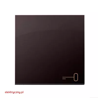 elektryczny.pl_DKWK1-46-klucz_przycisk_Premium54_KontaktSimon.jpg