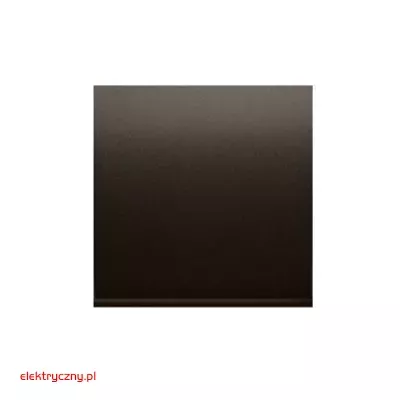 elektryczny.pl_klawisz_pojedynczy_DKW1-46-Premium54_KontaktSimon.jpg