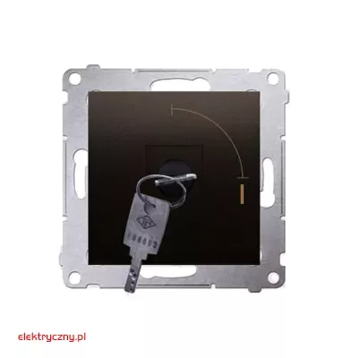 elektryczny.pl_DKW1k-46-klucz_przycisk_Premium54_KontaktSimon.jpg