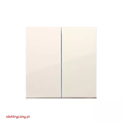 elektryczny.pl_klawisz_DKW5-41-Premium54_KontaktSimon.jpg