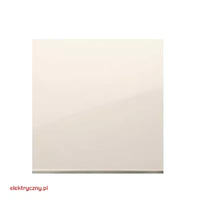 elektryczny.pl_klawisz_pojedynczy_DKW1-41-Premium54_KontaktSimon.jpg