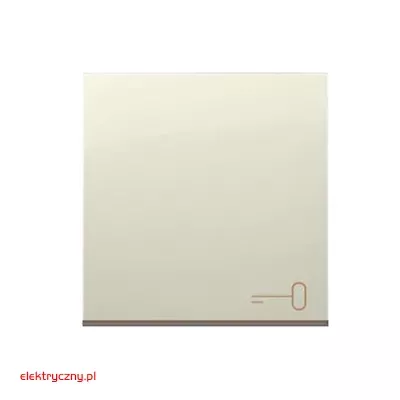 elektryczny.pl_DKWK1-41-klucz_przycisk_Premium54_KontaktSimon.jpg