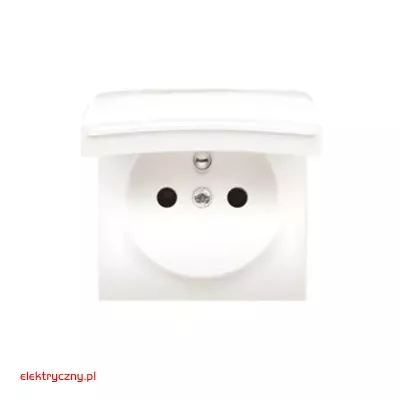 elektryczny.pl_gniazdo_wtyczkowe_DGZ1BUZP-41_Premium54_KontaktSimon.jpg