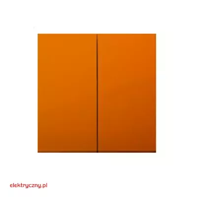 elektryczny.pl_klawisz_DKW5-32-Premium54_KontaktSimon.jpg