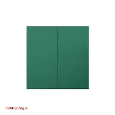 elektryczny.pl_klawisz_DKW5-33-Premium54_KontaktSimon.jpg