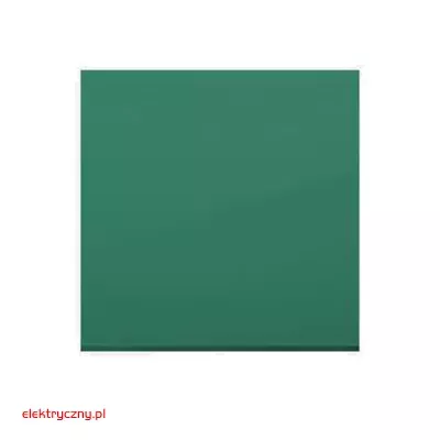 elektryczny.pl_klawisz_pojedynczy_DKW1-33-Premium54_KontaktSimon.jpg