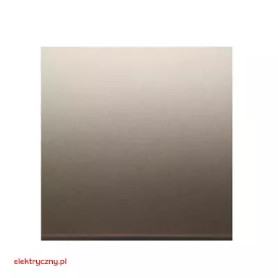 elektryczny.pl_klawisz_pojedynczy_DKW1-44-Premium54_KontaktSimon.jpg