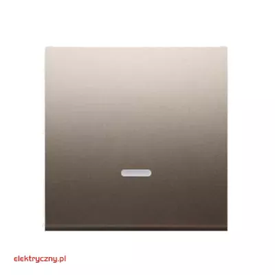 elektryczny.pl_klawisz_pojedynczy_DKW1L-44-Premium54_KontaktSimon.jpg