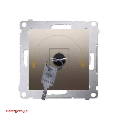 elektryczny.pl_lacznik_na_kluczyk_DPZZK.01-44-Premium54_KontaktSimon.jpg