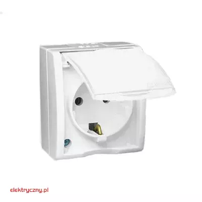 elektryczny.pl_gniazdo_pojedyncze_AQGSZ1Z-11-Aquarius_Kontaktsimon.jpg