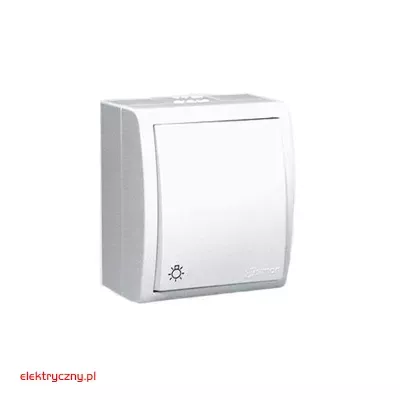 elektryczny.pl_przycisk_swiatlo_pojedyncze_AQS1L-11-Aquarius_KontaktSimon.jpg