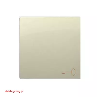 elektryczny.pl_klawisz_pojedynczy_klucz_BMKWK1-12-Basic_Kontaktsimon.jpg