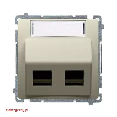 elektryczny.pl_pokrywa_gniazda_teleinformatycznego_Basic_ BMGPS2P.02-12-KontaktSimon.jpg