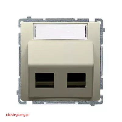 elektryczny.pl_pokrywa_gniazda_teleinformatycznego_Basic_BMGKS2P.01-12-KontaktSimon.jpg