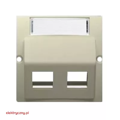 elektryczny.pl_pokrywa_gniazda_teleinformatycznego_Basic_BMGKS2P-12-KontaktSimon.jpg