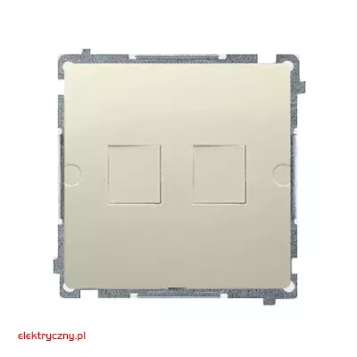 elektryczny.pl_pokrywa_gniazda_teleinformatycznego_Basic_BMPT-12-KontaktSimon.jpg