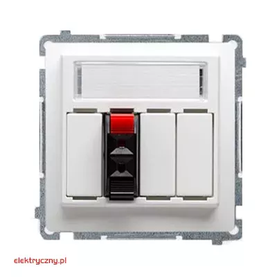 elektryczny.pl_gniazdo_glosnikowe_BMGL31.01-11-Basic_KontaktSimon.jpg