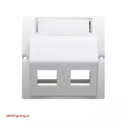 elektryczny.pl_pokrywa_gniazda_teleinformatycznego_Basic_BMGKS2P-11-KontaktSimon.jpg