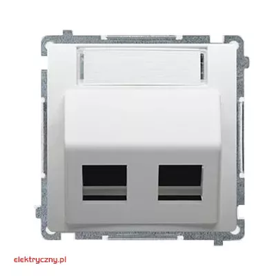 elektryczny.pl_pokrywa_gniazda_teleinformatycznego_Basic_BMGPS2P.02-11-KontaktSimon.jpg