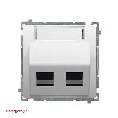 elektryczny.pl_pokrywa_gniazda_teleinformatycznego_Basic_BMGKS2P.01-11-KontaktSimon.jpg