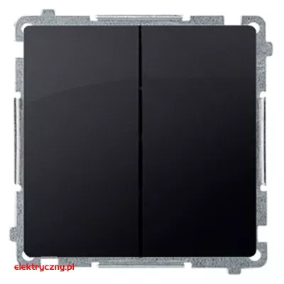 elektryczny.pl_BASIC_grafit_mat_BMW5.01-28.jpg